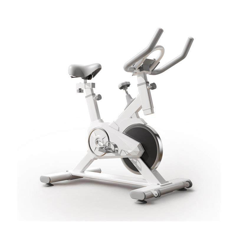 Loomi Velo-Sync™ Home Exercise Bike