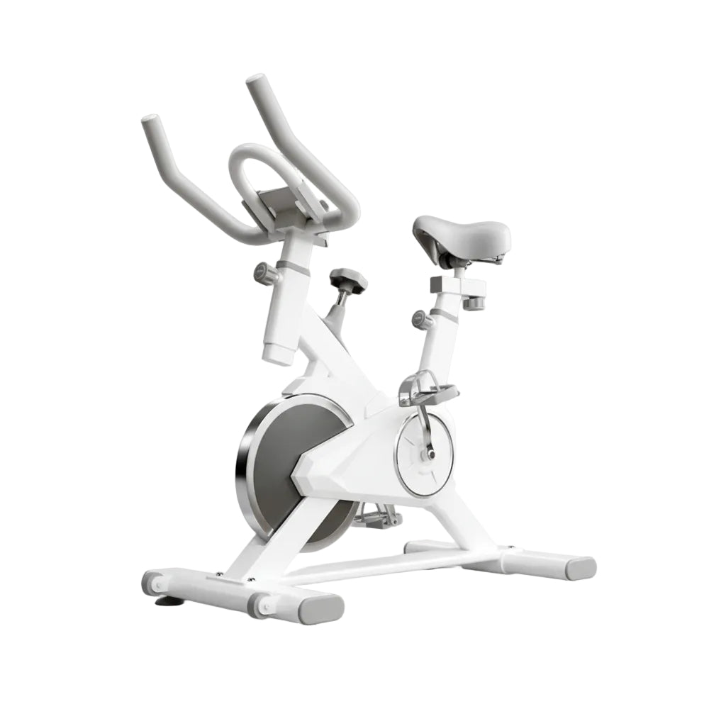Loomi Velo-Sync™ Home Exercise Bike