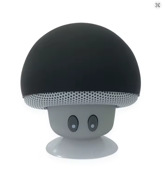 Loomi NomadCast™ S1 Heavy-Bass Outdoor Bluetooth Speaker