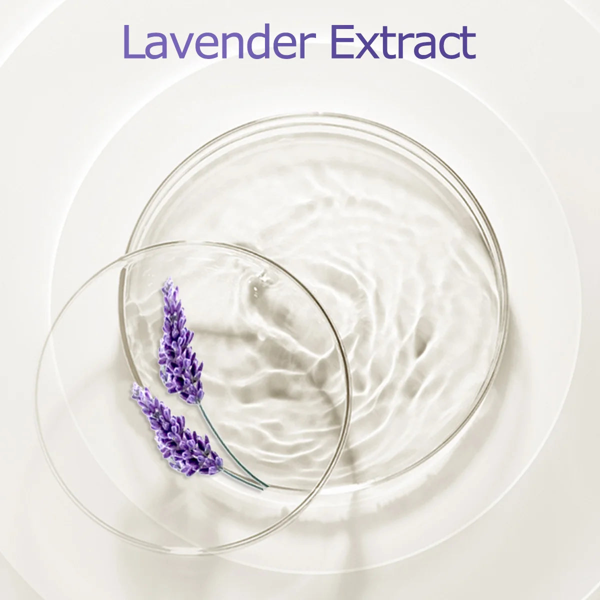 Loomi Lavender-Pure™ Organic Essential Oil