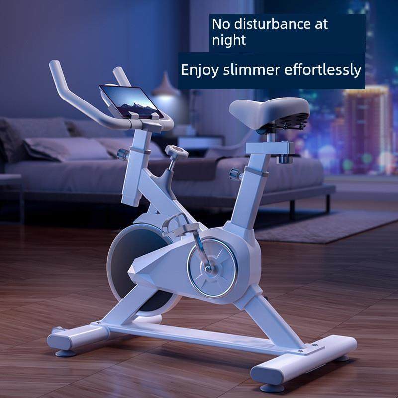 Loomi Velo-Sync™ Home Exercise Bike